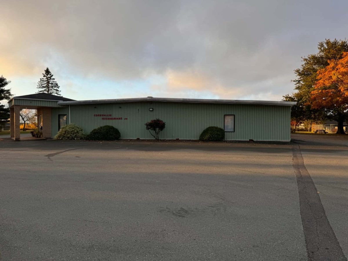 Exterior of Cornwallis Veterinarians Limited before mural installation, showing plain green siding, small red lettering, and minimal decoration.