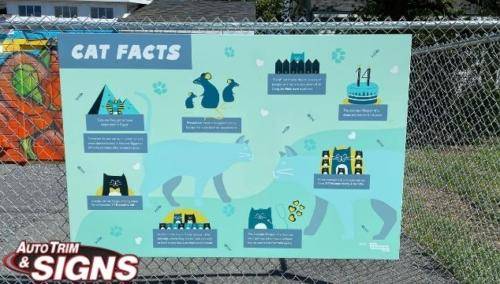 Cat facts sign up close