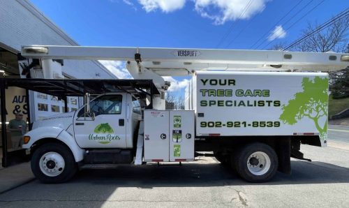 Side view of a white Urban Roots arborist truck with custom green tree graphics, company logo, and large contact information on the service body.
