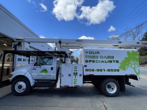 White service bucket truck wrapped with Urban Roots tree care branding, including green tree graphics and large “Your Tree Care Specialists” lettering.