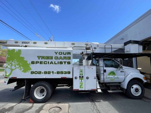 White Urban Roots tree care bucket truck with large green tree graphics, business logo, and “Your Tree Care Specialists” lettering parked outside a shop.