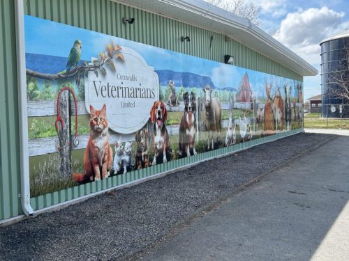 Close-up of the new mural at Cornwallis Veterinarians Limited featuring cats, dogs, farm animals, a parrot, and a stethoscope against a farm-style fence and landscape.