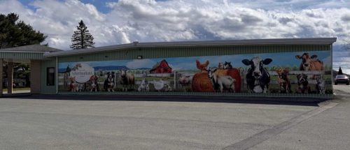 Wide view of the full animal mural on the exterior of Cornwallis Veterinarians Limited, with a farm and mountain scene, colorful barn, and detailed depictions of various animals.