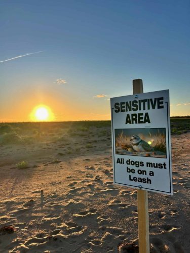 Close-up of sensitive area sign at Caribou Beach with sunset glow.